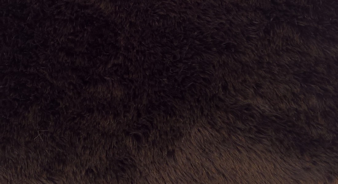 Poťahová plyš, čalúnická, hnedá , vlas 20 mm