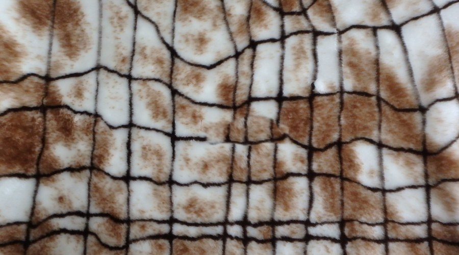 Leskymo, hnědá, vzor pavučina, šíře 150 cm