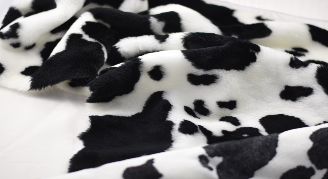 Plyš vzor krava, čierna, šírka 150cm
