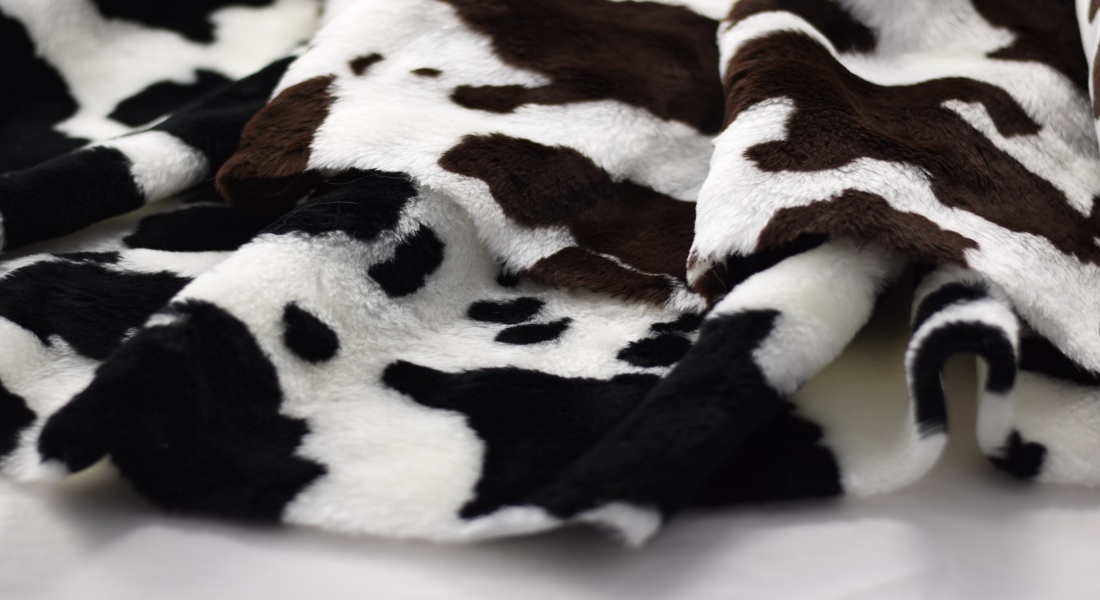 Plyš vzor krava, čierna, šírka 150cm