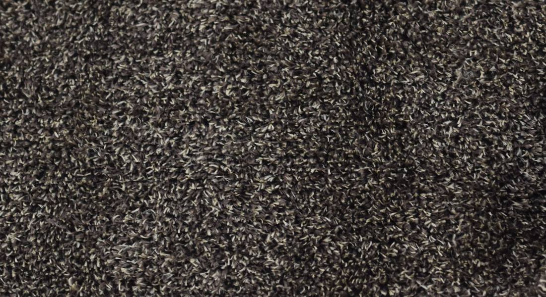 Plyš Bonekal š.160 hnedo béžový 