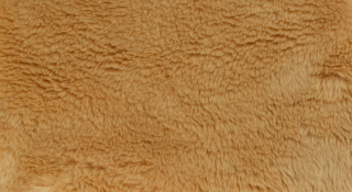 Poťahová plyš, tmavo béžová, vlas 20 mm        mm