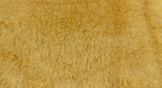 Poťahová plyš, čalúnická, zlato žltá, vlas 20 mmmm        mm